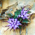 Alpine flowers