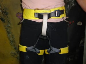 Sport harness Sport harness