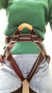 Group or Alpine style harness