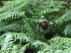 walking in the brecon beacons walking in the brecon beacons