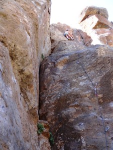 Arico - No cepillo mas 6a+