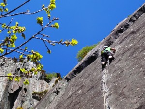 Comes the Dervish Maria