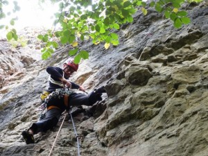 On the crux of Red Rose Speedway