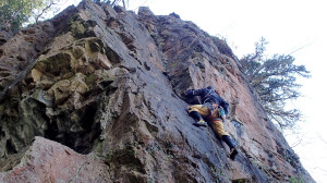 Nich leading Tolk HVS 4c